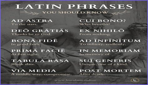 A Profile Of A Latin Beauty