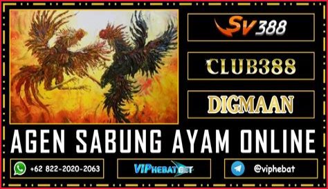 Kelebihan dan Kelemahan Penyelenggaraan Agen Sabung Ayam SV388, Awalnya Tradisional Lalu ke Dunia Digital